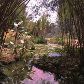 Processed Field Recordings Of The Huntington Gardens