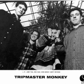 tripmaster monkey