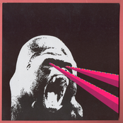 The Copyrights & The Brokedowns