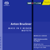 Virga Jesse Floruit, Wab 52 by Anton Bruckner