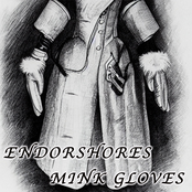 Mink Gloves