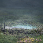 The Ophelias: Black Ribbon