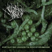 Pustulating Urogenital Schystosomiasis