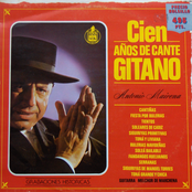 Cien Años De Cante Gitano