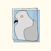 What Do You Think That Bird?