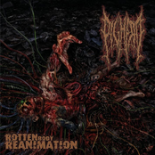 Rotten Body Reanimation by Pighead