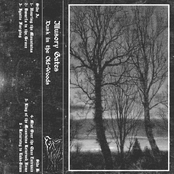 Dusk in the Old-Woods