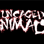 uncaged animals