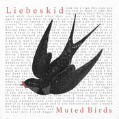 Muted Birds