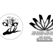 The Hands, The Water, The Hands That Occupy The Water