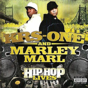 Hip Hop Lives by Krs-one & Marley Marl