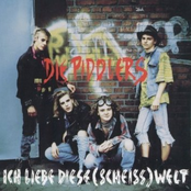 Ich liebe diese (Scheiß) Welt