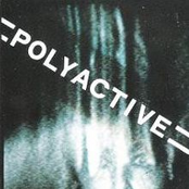 Polyactive