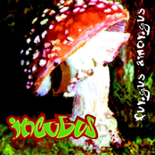 Psychopsilocybin by Incubus