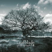 The Spirit Of Solitude by Leafblade