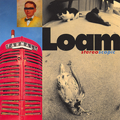 Love Without Fear by Loam