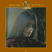 Emmylou Harris: Pieces of the Sky