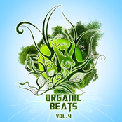 Organic Beats Vol. 4
