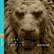 SURGIT LEO FORTIS