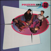 Polecats Are Go!