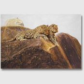 Trojan Ganja Reggae Box Set