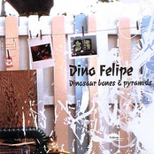 Dinosaur Bones and Pyramids