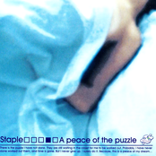 A Peace Of The Puzzle