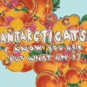 Antarcticats: I Know You Are, but What Am I?