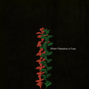 No Others / When Palestine Is Free
