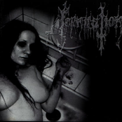 Fist Fucking Black Metal by Fornication