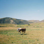 Justin Jay: Do I Like You Like That?