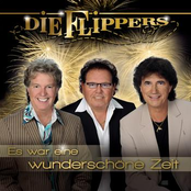 Sag Nur Ein Wort by Die Flippers