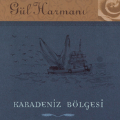 Gul Harmani Karadeniz Bolgesi
