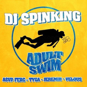 DJ Spinking: Adult Swim (feat. Tyga, Jeremih, & Velous)