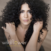 Joanna Pascale: Wildflower