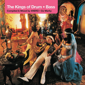 The Kings of Drum & Bass mixed by 4 Hero and DJ Marky
