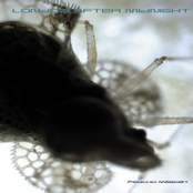 Psycho Magnet (re-release)