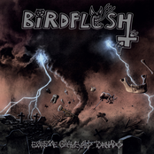 Birdflesh: Extreme Graveyard Tornado