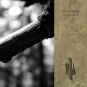 On the Field of the Self