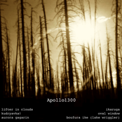 Apollo1300