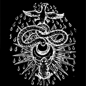 Don't Kill The Messenger