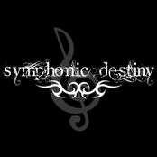 Forever Fight Demo CD