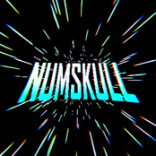 Numskull