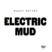 She's All Right by Muddy Waters