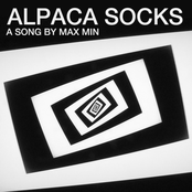 Alpaca Socks