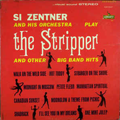 The Stripper And Other Big Band Hits / Desafinado