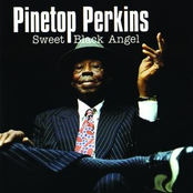 Rain by Pinetop Perkins