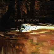 Human Punching Bag by M. Ward