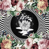 My Heart's in a Maze