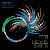 Year Of The Pig by The Black Seeds